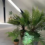 Penthouselejlighed Midt I شقة *