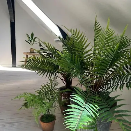 Penthouselejlighed Midt I Daire *
