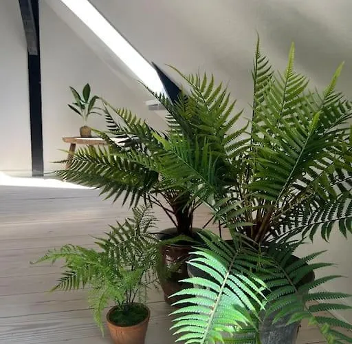 Penthouselejlighed Midt I Apartamento *